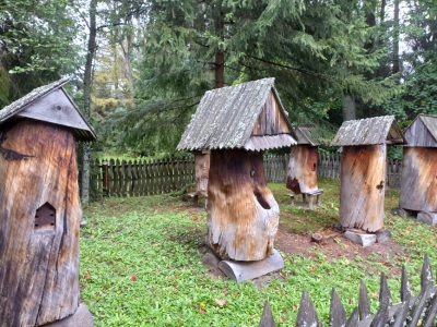 XII Małopolski Plener Form Twórczych Osób Niepełnosprawnych "Magia Gór - Beskidy 2022" - IV dzień 162